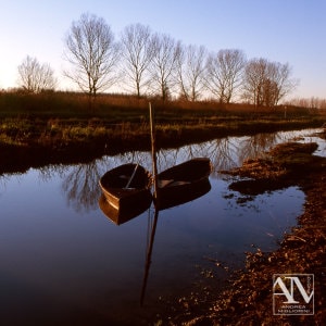 Foto Paesaggio Photo Landscape Alba Padule di Fucecchio